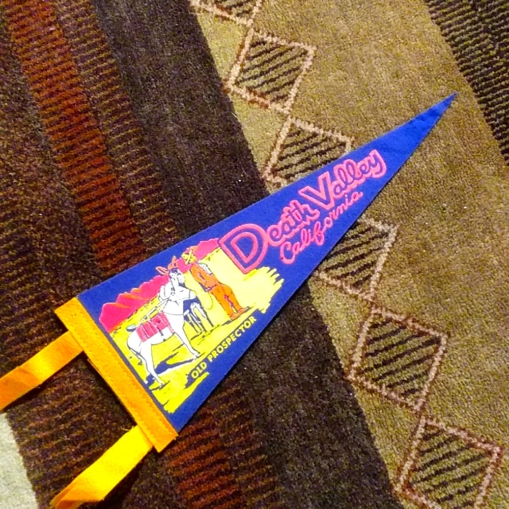 Vintage Souvenir Pennant